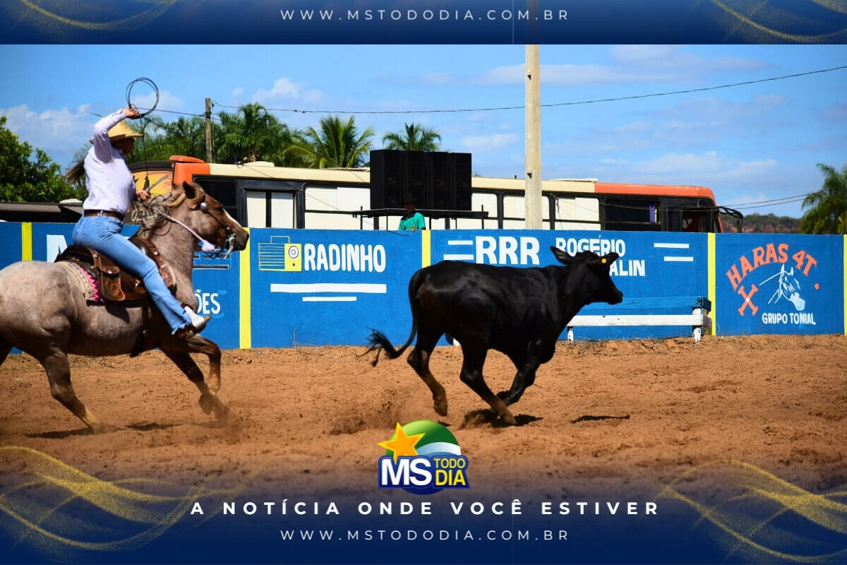 Imagem da Galeria